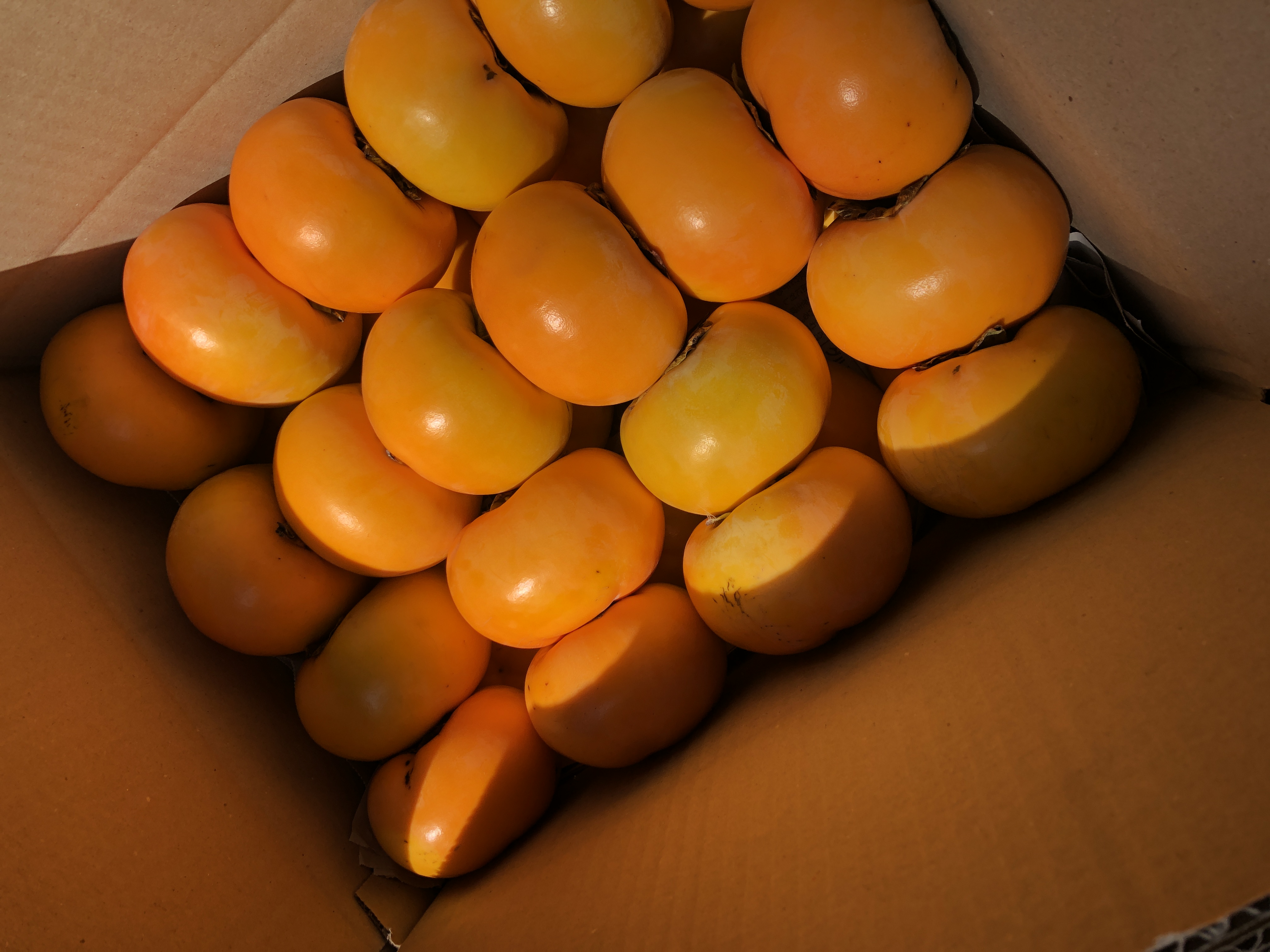 和紙包みと熨斗